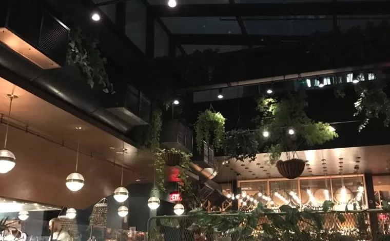 Terra Eataly Restaurant Boston Review